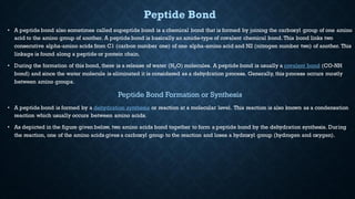 Peptide Bond
• A peptide bond also sometimes called eupeptide bond is a chemical bond that is formed by joining the carboxyl group of one amino
acid to the amino group of another. A peptide bond is basically an amide-type of covalent chemical bond. This bond links two
consecutive alpha-amino acids from C1 (carbon number one) of one alpha-amino acid and N2 (nitrogen number two) of another. This
linkage is found along a peptide or protein chain.
• During the formation of this bond, there is a release of water (H2O) molecules. A peptide bond is usually a covalent bond (CO-NH
bond) and since the water molecule is eliminated it is considered as a dehydration process. Generally, this process occurs mostly
between amino groups.
Peptide Bond Formation or Synthesis
• A peptide bond is formed by a dehydration synthesis or reaction at a molecular level. This reaction is also known as a condensation
reaction which usually occurs between amino acids.
• As depicted in the figure given below, two amino acids bond together to form a peptide bond by the dehydration synthesis. During
the reaction, one of the amino acids gives a carboxyl group to the reaction and loses a hydroxyl group (hydrogen and oxygen).
 