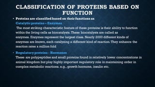 CLASSIFICATION OF PROTEINS BASED ON
FUNCTION
• Proteins are classified based on their functions as
Catalyticproteins – Enzymes
The most striking characteristic feature of these proteins is their ability to function
within the living cells as biocatalysts. These biocatalysts are called as
enzymes. Enzymes represent the largest class. Nearly 2000 different kinds of
enzymes are known, each catalyzing a different kind of reaction.They enhance the
reaction rates a million fold
• Regulatoryproteins - Hormones
These are polypeptides and small proteins found in relatively lower concentrations in
animal kingdom but play highly important regulatory role in maintaining order in
complex metabolic reactions. e.g., growth hormone, insulin etc.
 