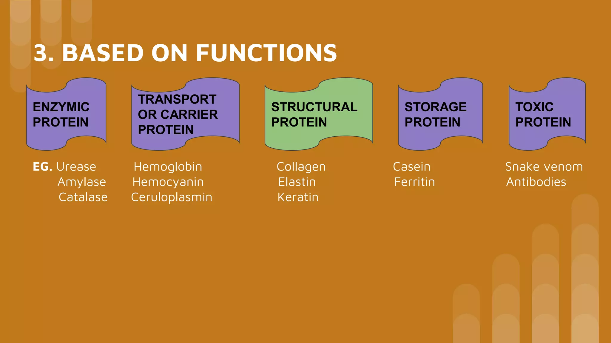 Classification of proteins | PPTX | Chemistry | Science