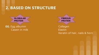 2. BASED ON STRUCTURE
EG. Egg albumin Collagen
Casein in milk Elastin
Keratin of hair, nails & horn
GLOBULAR
PROTEIN
FIBROUS
PROTEIN
 