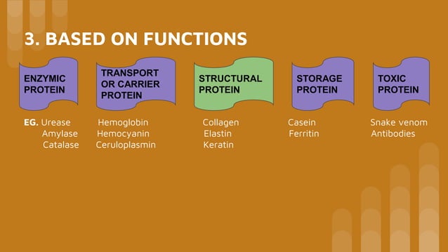 Classification of proteins | PPTX | Chemistry | Science
