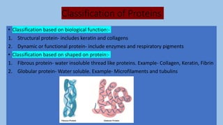 Classification of proteins | PPTX | Chemistry | Science