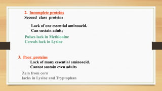 Classification of proteins, nucleic acid.pptx