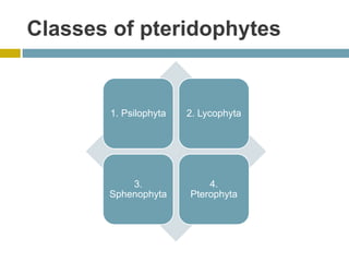 Classes of pteridophytes
1. Psilophyta 2. Lycophyta
3.
Sphenophyta
4.
Pterophyta
 