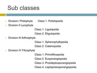 Sub classes
 Division I Psilophyta Class 1. Psilotopsida
 Division II Lycophyta
Class 1. Ligulopsida
Class 2. Eligulopsida
 Division III Arthrophyta
Class 1. Sphenophyllopsida
Class 2. Calamopsida
 Division IV Filicophyta
Class 1. Primofilicopsida
Class 2. Eusporangiopsida
Class 3. Protoleptosporangiopsida
Class 4. Leptoprotosporangiopsida
 