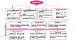 Pteridophytes Classification