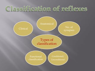 Types of
classification
Anatomical
No. of
synapses
Conditional/
Unconditional
Functional
classification
Clinical
 