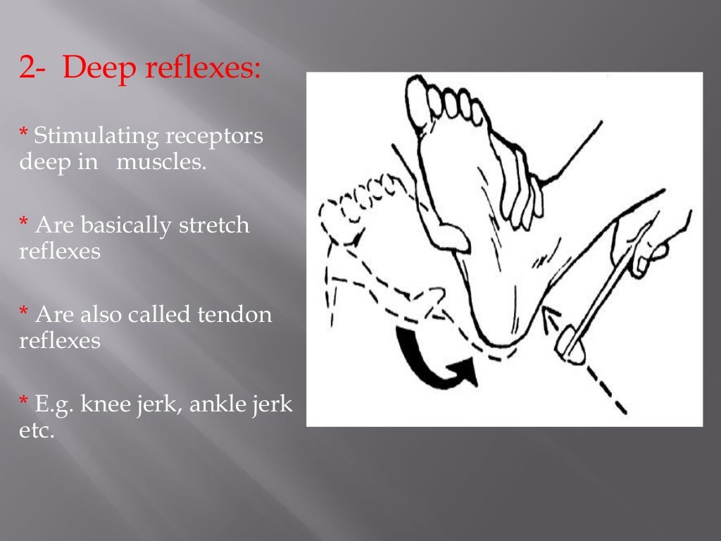 Classification of reflexes
