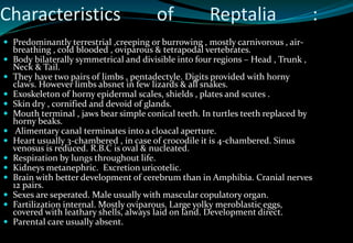 Classification Of Reptiles