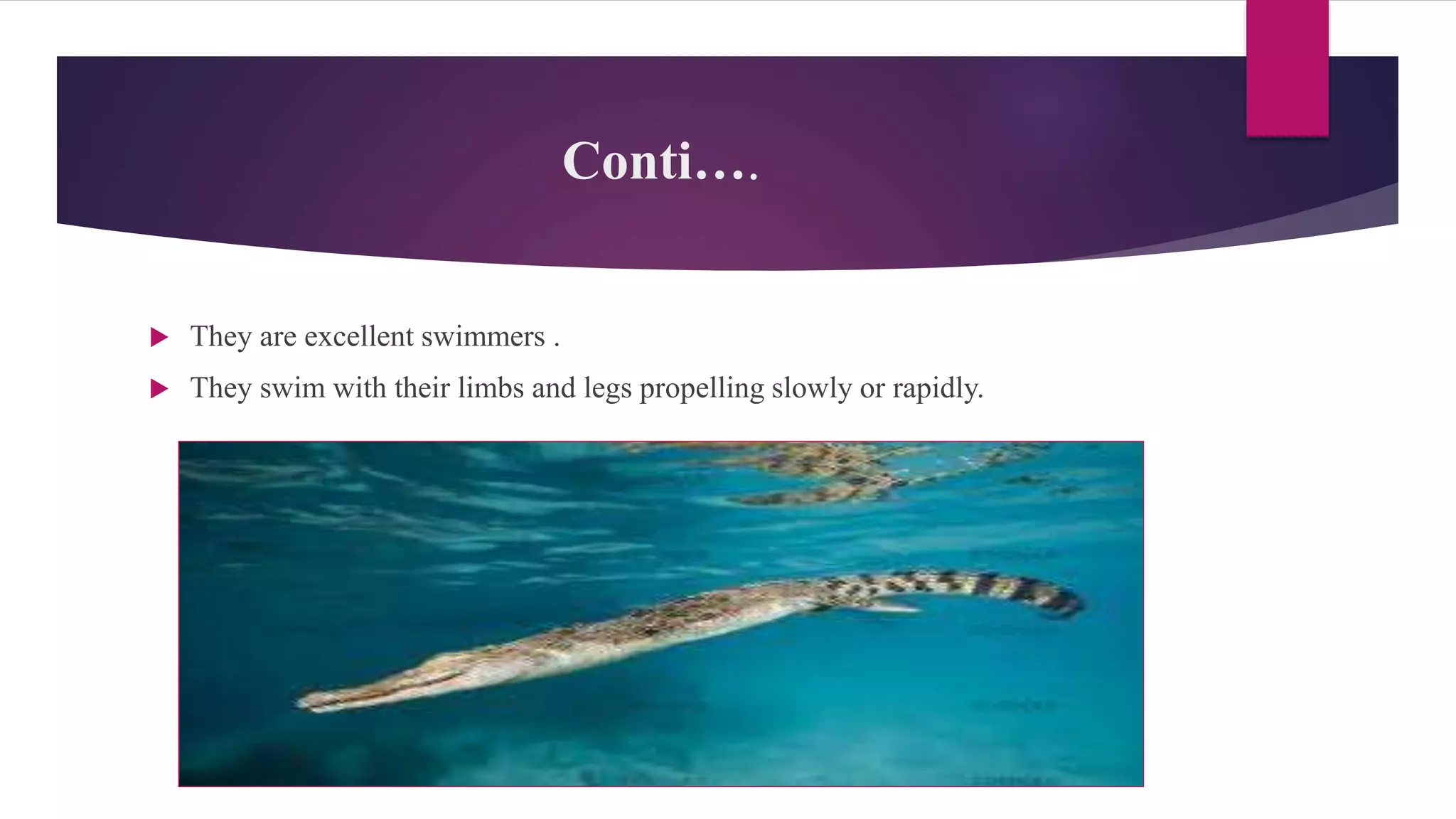 Conti….
 They are excellent swimmers .
 They swim with their limbs and legs propelling slowly or rapidly.
 