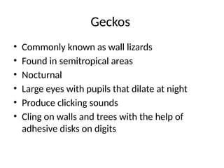CLASSIFICATION OF REPTILES - Animal Diversity | PPTX