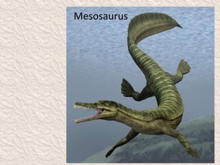 Mesosaurus
 