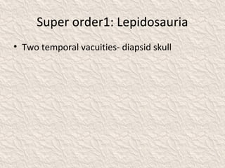 Super order1: Lepidosauria
• Two temporal vacuities- diapsid skull
 
