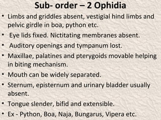 Classification of reptilia | PPT