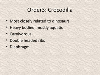 Order3: Crocodilia
• Most closely related to dinosaurs
• Heavy bodied, mostly aquatic
• Carnivorous
• Double headed ribs
• Diaphragm
 