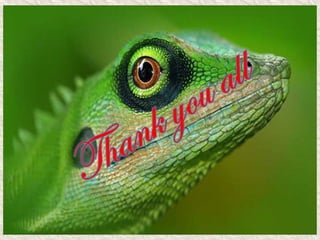 Classification of reptilia