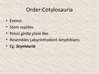 Order:Cotylosauria
• Extinct
• Stem reptiles
• Pelvic girdle plate like
• Resembles Labyrinthodont Amphibians
• Eg: Seymouria
 