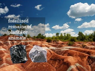fossilized
remains of
plants or
animals
 