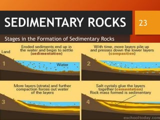 23SEDIMENTARY ROCKS
Stages in the Formation of Sedimentary Rocks
 