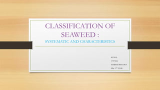 CLASSIFICATION OF
SEAWEED :
SYSTEMATIC AND CHARACTERISTICS
KUNAL
17373016
MARINE BIOLOGY
MSc. 1ST YEAR
 