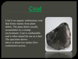 Coal is an organic sedimentary rock
that forms mainly from plant
debris. The plant debris usually
accumulates in a swamp
environment. Coal is combustible
and is often mined for use as a fuel.
The specimen shown
above is about two inches (five
centimeters) across.
 