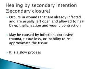  Occurs in wounds that are already infected
and are usually left open and allowed to heal
by epithelialization and wound contraction
 May be caused by infection, excessive
trauma, tissue loss, or inability to re-
approximate the tissue
 It is a slow process
 