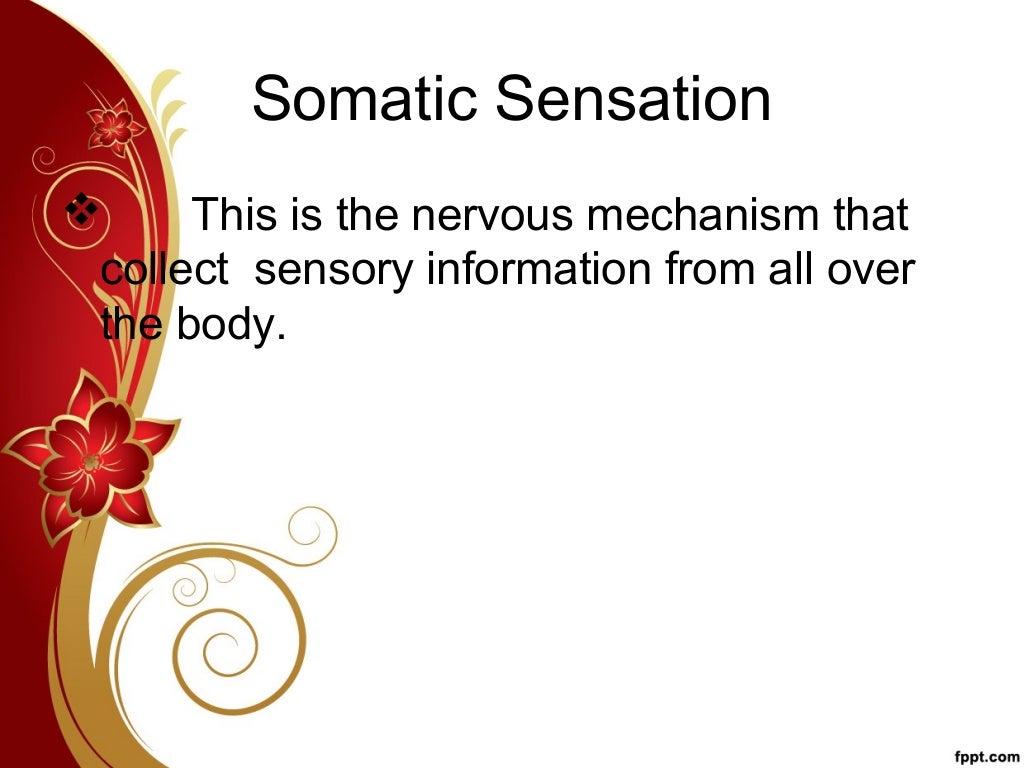 Classification of somatic sensation