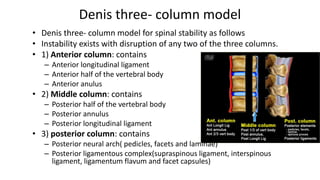 Classification of spinal fracture | PPTX