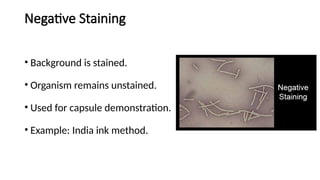 Negative Staining Example Comprehensive Overview of Staining Methods and Smear Preparation in ...