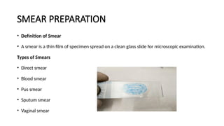 Smear Types Comprehensive Overview of Staining Methods and Smear Preparation in ...