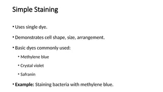 Simple Staining Methods Comprehensive Overview of Staining Methods and Smear Preparation in ...