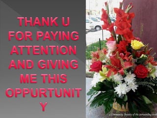 Classification of surveying