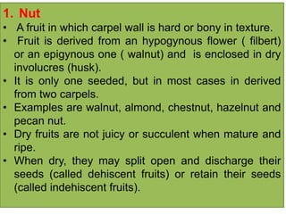 1. Nut
• A fruit in which carpel wall is hard or bony in texture.
• Fruit is derived from an hypogynous flower ( filbert)
or an epigynous one ( walnut) and is enclosed in dry
involucres (husk).
• It is only one seeded, but in most cases in derived
from two carpels.
• Examples are walnut, almond, chestnut, hazelnut and
pecan nut.
• Dry fruits are not juicy or succulent when mature and
ripe.
• When dry, they may split open and discharge their
seeds (called dehiscent fruits) or retain their seeds
(called indehiscent fruits).
 