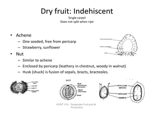 Dry fruit: Indehiscent
Single carpel
Does not split when ripe
• Achene
– One seeded, free from pericarp
– Strawberry, sunflower
• Nut
– Similar to achene
– Enclosed by pericarp (leathery in chestnut, woody in walnut)
– Husk (shuck) is fusion of sepals, bracts, bracteoles.
HORT 319 - Temperate Fruit and Nut
Production
 