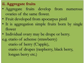 ii. Aggregate fruits
• Aggregate fruits develop from numerous
ovaries of the same flower.
• Fruit developed from apocarpus pistil
• It is aggregation simple fruits born by single
flower
• Individual ovary may be drupe or berry.
e.g. etario of achense (strawberry)
etario of berry (C’apple),
etario of drupes (raspberry, black berry,
longan berry etc.)
 
