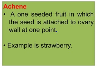 Achene
• A one seeded fruit in which
the seed is attached to ovary
wall at one point.
• Example is strawberry.
 