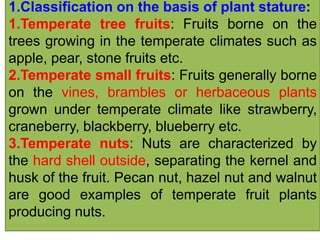 1.Classification on the basis of plant stature:
1.Temperate tree fruits: Fruits borne on the
trees growing in the temperate climates such as
apple, pear, stone fruits etc.
2.Temperate small fruits: Fruits generally borne
on the vines, brambles or herbaceous plants
grown under temperate climate like strawberry,
craneberry, blackberry, blueberry etc.
3.Temperate nuts: Nuts are characterized by
the hard shell outside, separating the kernel and
husk of the fruit. Pecan nut, hazel nut and walnut
are good examples of temperate fruit plants
producing nuts.
 