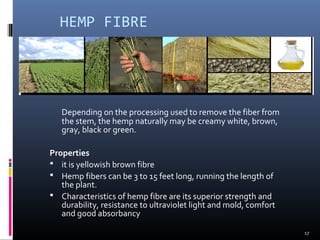 HEMP FIBRE
Depending on the processing used to remove the fiber from
the stem, the hemp naturally may be creamy white, brown,
gray, black or green.
Properties
 it is yellowish brown fibre
 Hemp fibers can be 3 to 15 feet long, running the length of
the plant.
 Characteristics of hemp fibre are its superior strength and
durability, resistance to ultraviolet light and mold, comfort
and good absorbancy
17
 