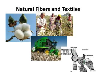 Natural Fibers and Textiles
 