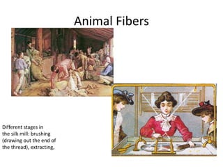 Animal Fibers
Different stages in
the silk mill: brushing
(drawing out the end of
the thread), extracting,
 