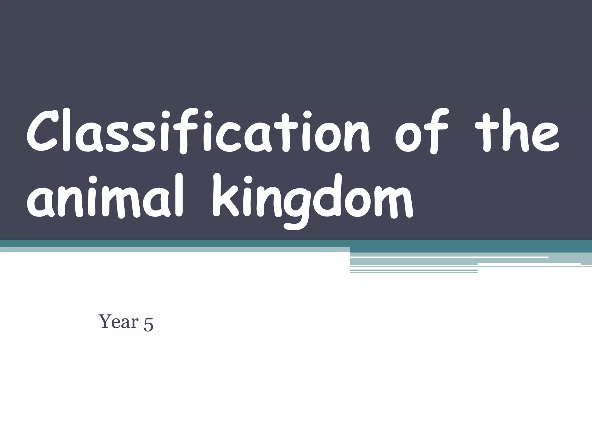 Classification of the
animal kingdom
Year 5