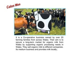 It is a Co-operative business owned by over 20 farming families from across Wales. Their aim is to secure a long-term market for organic milk from Wales by supporting organic processing needs in Wales. They sell organic milk to different companies. Its medium business and provides milk locally.. 