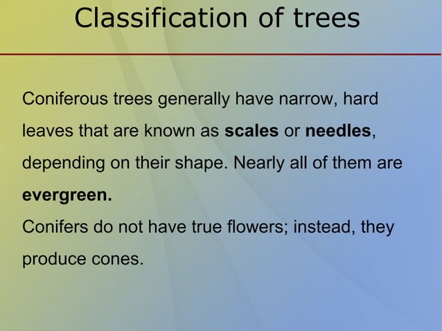 Classification of trees | PPT | Gardening | Home & Garden