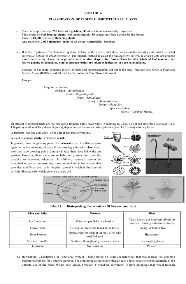 Classification Of Tropical Horticultural Plants