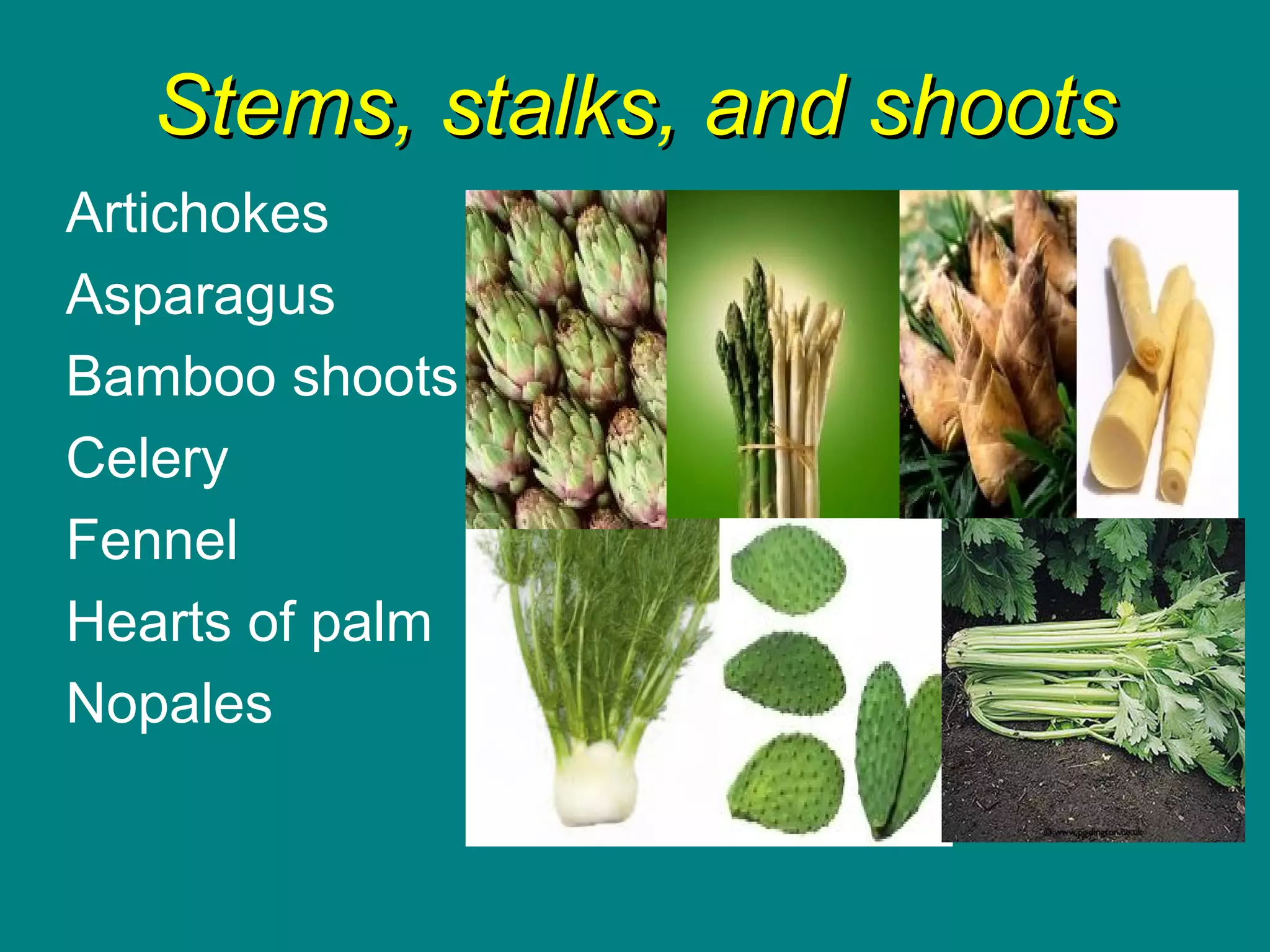 classification of vegetable PDF
