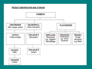 classification of vegetable | PDF