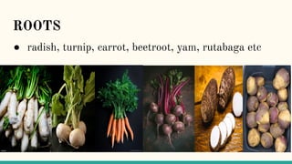 CLASSIFICATION OF VEGETABLES.pptx.pdf