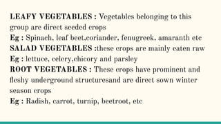 CLASSIFICATION OF VEGETABLES.pptx.pdf