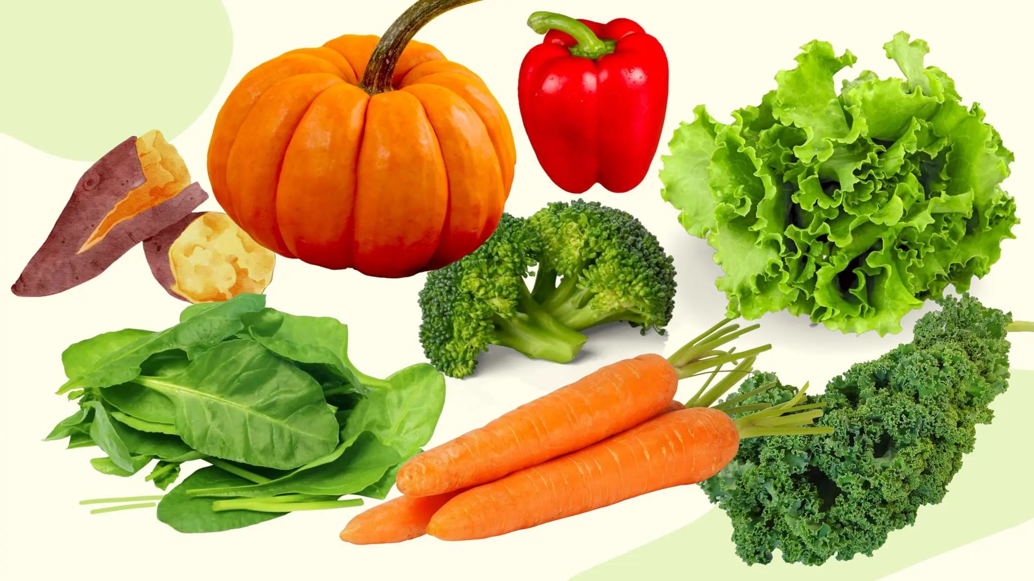 Classification of Vegetables According to Nutritive Value (1).pptx