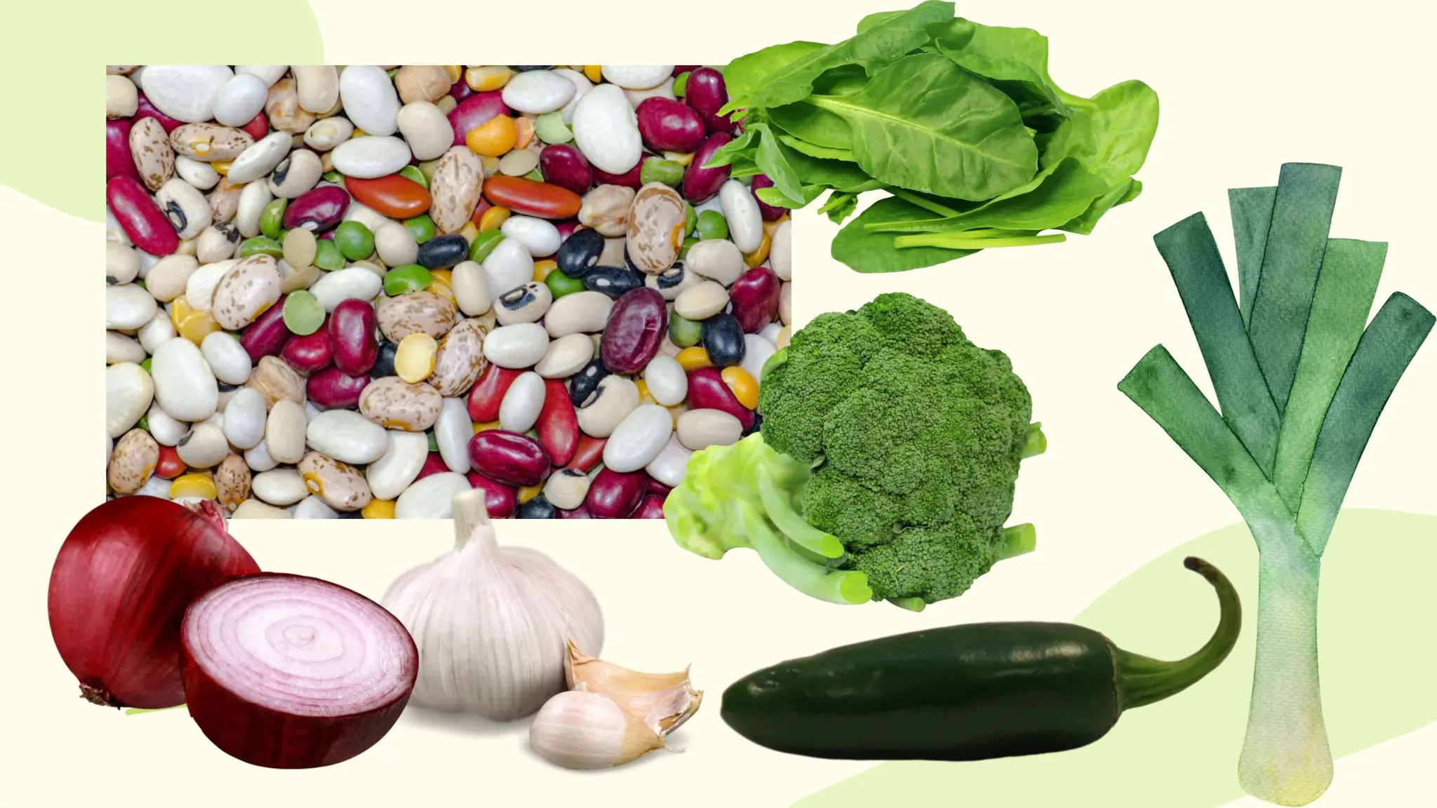 Classification of Vegetables According to Nutritive Value (1).pptx